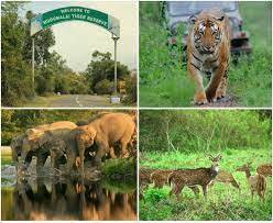 mudumalai sightseeing cab