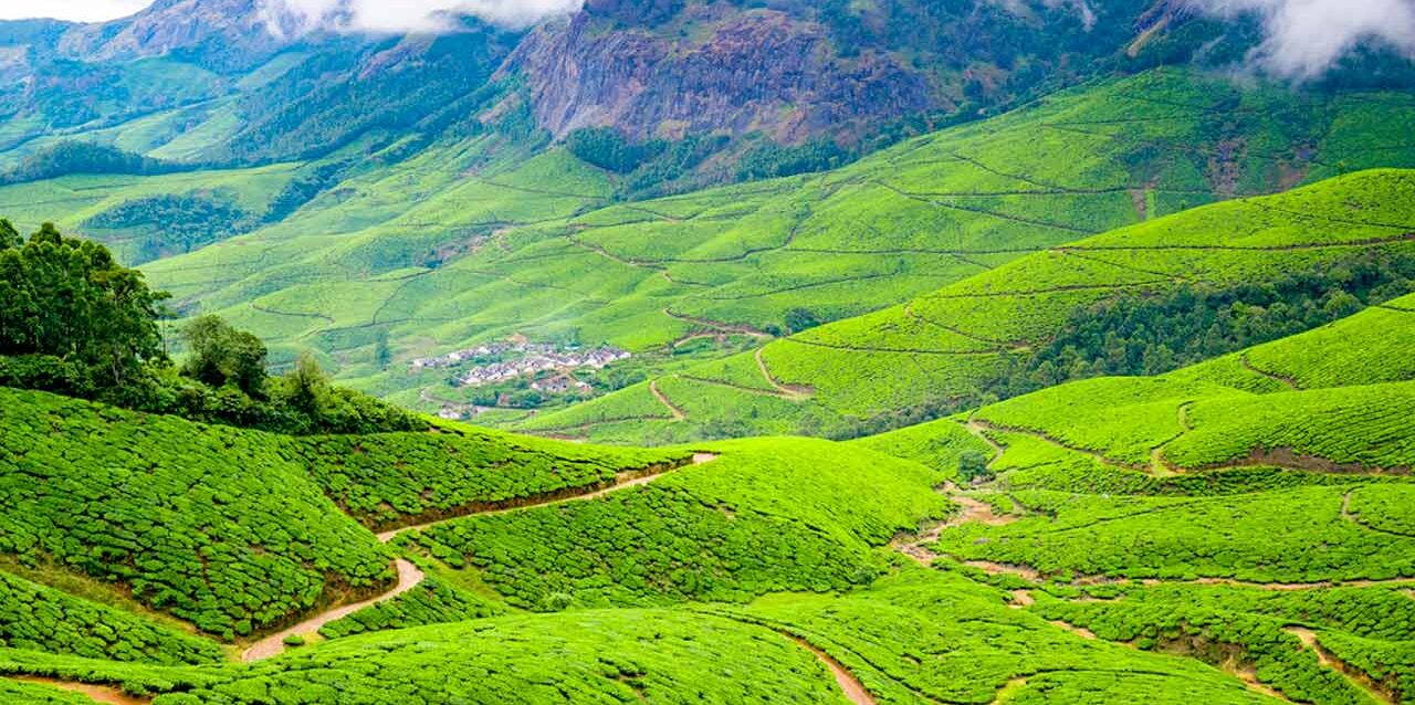 Ooty and Coonoor sightseeing taxi service