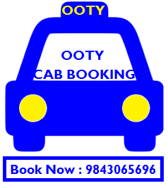 Ooty sightseeing Cab Service